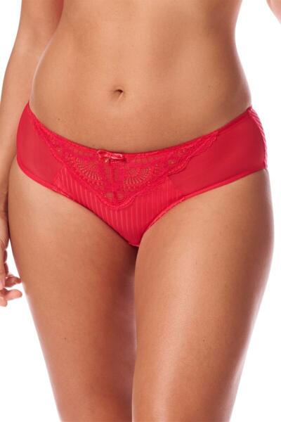 Karolina Briefs - Karolina PTY Brief offers reliable support and comfort. Designed for effective use in medical care, it ensures ease and practicality in daily wear. - 45087