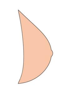 Essential Light 1SN Breast Form Alt 1